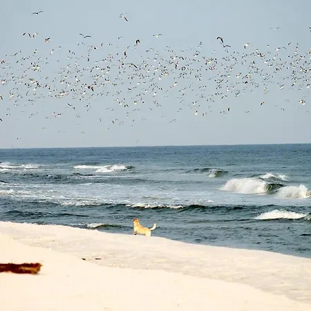 Apartment White Pearl 3.06 Timmendorfer Strand