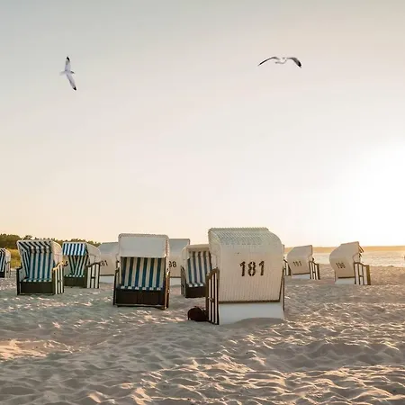 Apartment White Pearl 3.06