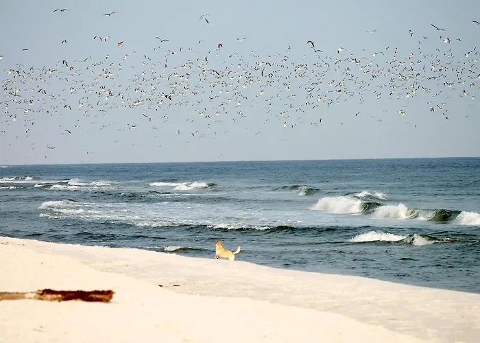 Apartamento White Pearl 3.06 Timmendorfer Strand